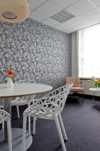 Spreekkamer en coachruimte Silver bij Good Place 2 Work
